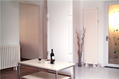 家用暖气片图片欣赏,金旗舰家用暖气片图片